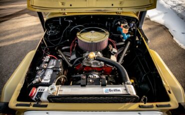 Toyota-Other-1974-BeigeTan-Black-14