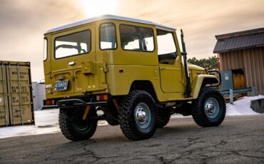 Toyota-Other-1974-BeigeTan-Black-29