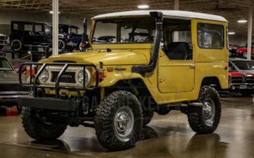 Toyota-Other-1974-BeigeTan-Black-31