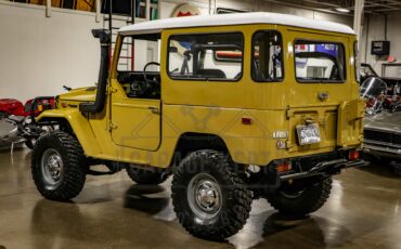 Toyota-Other-1974-BeigeTan-Black-34