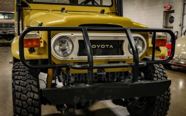 Toyota-Other-1974-BeigeTan-Black-44