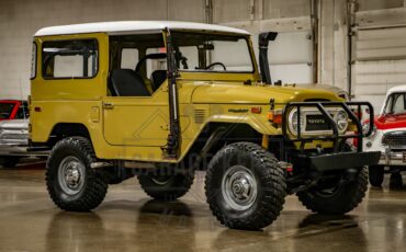 Toyota-Other-1974-BeigeTan-Black-47