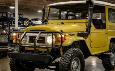 Toyota-Other-1974-BeigeTan-Black-6