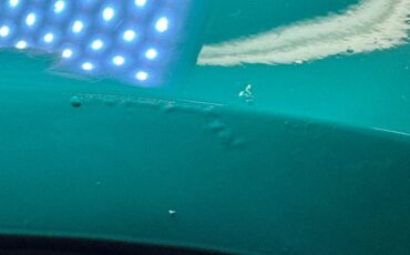 Triumph-Tr7-1976-British-Racing-Green-Black-33