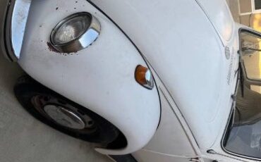 Volkswagen-Beetle-1968-12