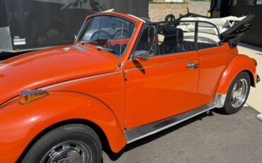 Volkswagen-Other-1971-Black-Black-24