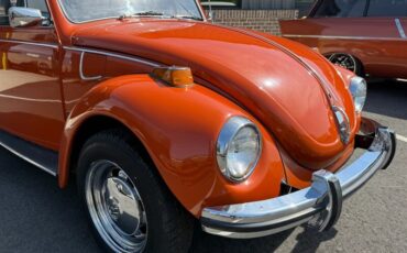 Volkswagen-Other-1971-Black-Black-28