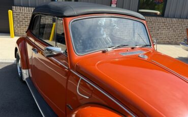 Volkswagen-Other-1971-Black-Black-29