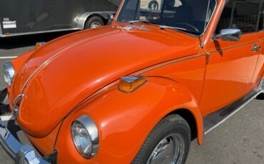 Volkswagen-Other-1971-Black-Black-30