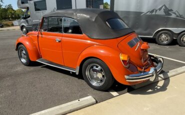 Volkswagen-Other-1971-Black-Black-5