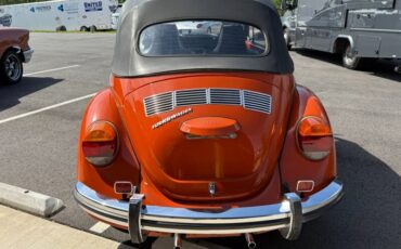 Volkswagen-Other-1971-Black-Black-6