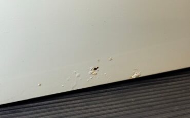 Volkswagen-Super-beetle-1977-White-White-33