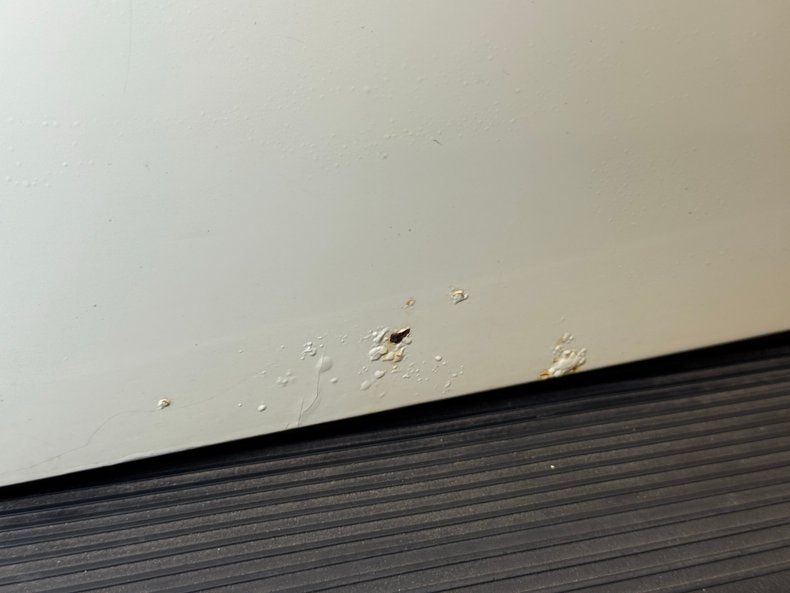 Volkswagen-Super-beetle-1977-White-White-33