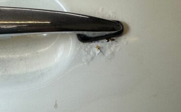 Volkswagen-Super-beetle-1977-White-White-36