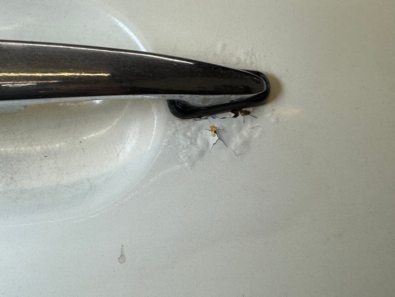 Volkswagen-Super-beetle-1977-White-White-36