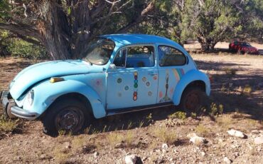 Volkswagen-super-beetle-1973-blue