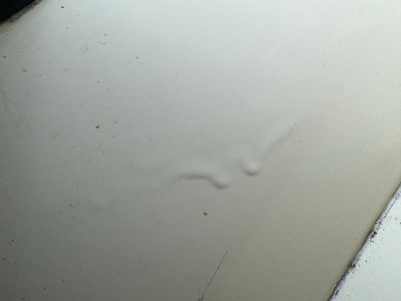 Willys-Jeepster-1950-Yellow-Black-24