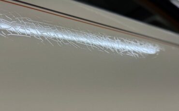 Zimmer-Golden-spirit-1981-Pastel-Chamois-Saddle-11