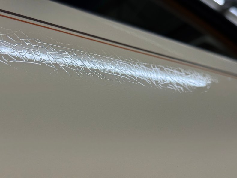 Zimmer-Golden-spirit-1981-Pastel-Chamois-Saddle-11