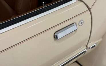 Zimmer-Golden-spirit-1981-Pastel-Chamois-Saddle-12