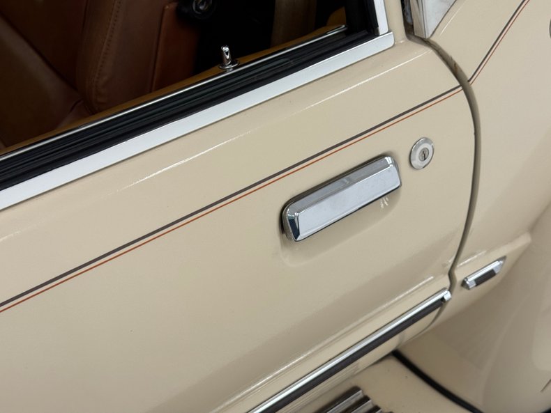 Zimmer-Golden-spirit-1981-Pastel-Chamois-Saddle-12