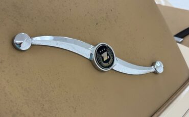 Zimmer-Golden-spirit-1981-Pastel-Chamois-Saddle-13