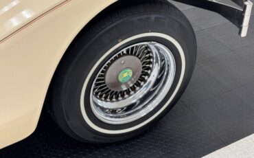 Zimmer-Golden-spirit-1981-Pastel-Chamois-Saddle-14