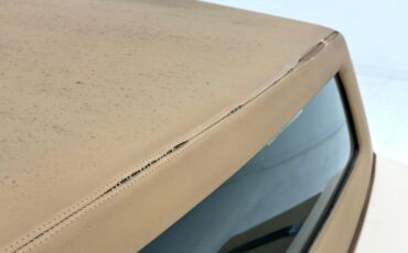 Zimmer-Golden-spirit-1981-Pastel-Chamois-Saddle-15