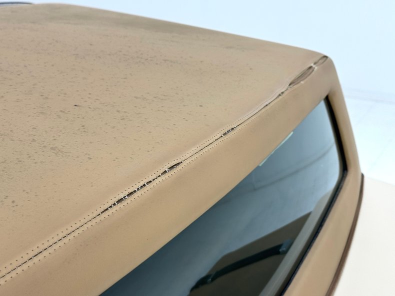 Zimmer-Golden-spirit-1981-Pastel-Chamois-Saddle-15