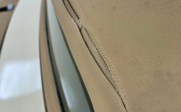 Zimmer-Golden-spirit-1981-Pastel-Chamois-Saddle-16