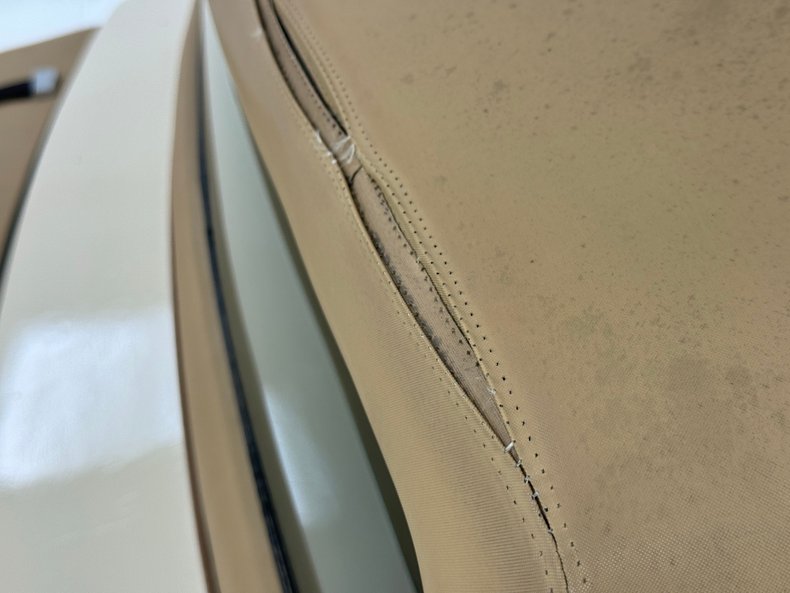 Zimmer-Golden-spirit-1981-Pastel-Chamois-Saddle-16