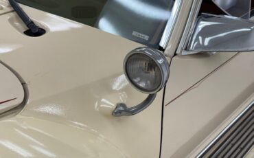 Zimmer-Golden-spirit-1981-Pastel-Chamois-Saddle-25