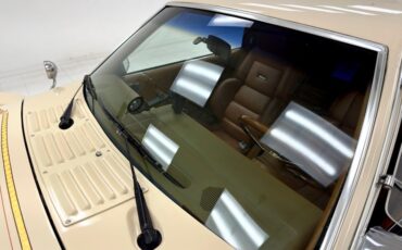 Zimmer-Golden-spirit-1981-Pastel-Chamois-Saddle-26