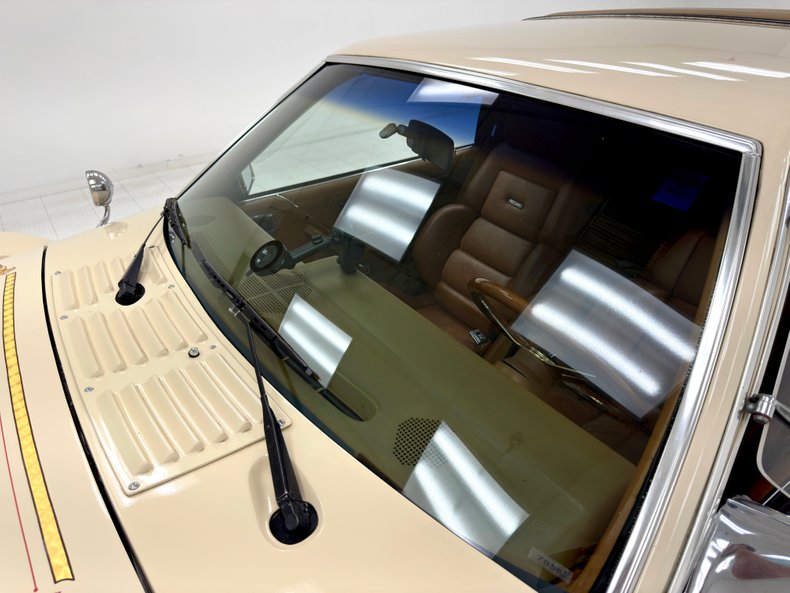 Zimmer-Golden-spirit-1981-Pastel-Chamois-Saddle-26