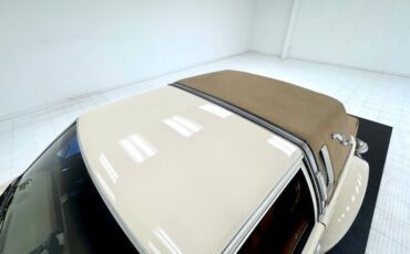 Zimmer-Golden-spirit-1981-Pastel-Chamois-Saddle-27