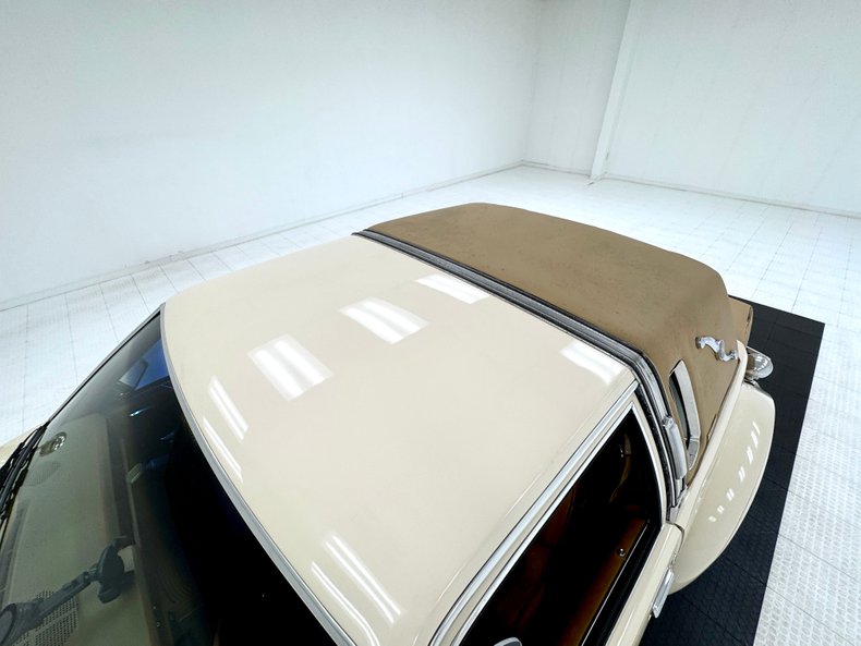 Zimmer-Golden-spirit-1981-Pastel-Chamois-Saddle-27