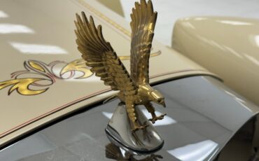 Zimmer-Golden-spirit-1981-Pastel-Chamois-Saddle-3