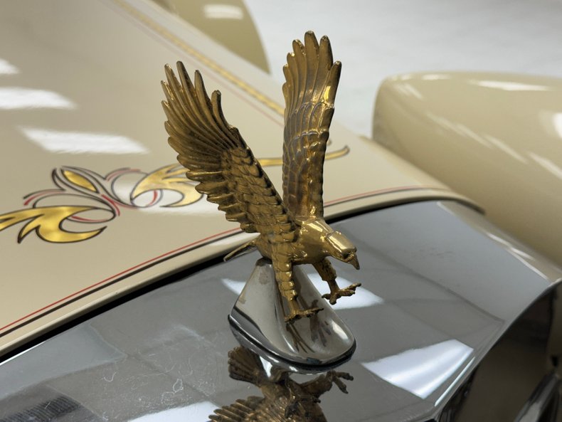 Zimmer-Golden-spirit-1981-Pastel-Chamois-Saddle-3