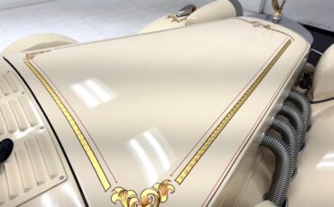 Zimmer-Golden-spirit-1981-Pastel-Chamois-Saddle-30