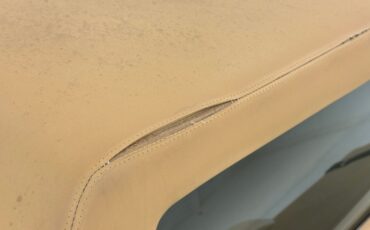 Zimmer-Golden-spirit-1981-Pastel-Chamois-Saddle-31