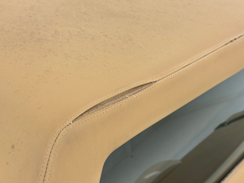 Zimmer-Golden-spirit-1981-Pastel-Chamois-Saddle-31