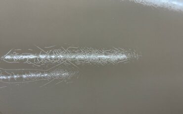 Zimmer-Golden-spirit-1981-Pastel-Chamois-Saddle-33