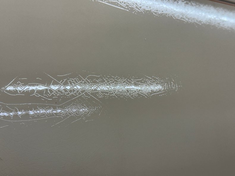 Zimmer-Golden-spirit-1981-Pastel-Chamois-Saddle-33