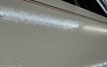 Zimmer-Golden-spirit-1981-Pastel-Chamois-Saddle-34