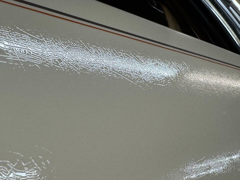 Zimmer-Golden-spirit-1981-Pastel-Chamois-Saddle-34