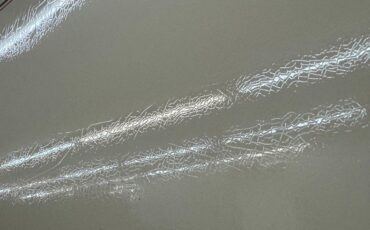 Zimmer-Golden-spirit-1981-Pastel-Chamois-Saddle-35