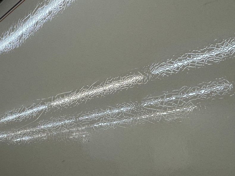 Zimmer-Golden-spirit-1981-Pastel-Chamois-Saddle-35