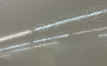 Zimmer-Golden-spirit-1981-Pastel-Chamois-Saddle-36