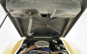 Zimmer-Golden-spirit-1981-Pastel-Chamois-Saddle-37