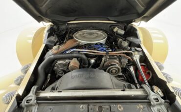 Zimmer-Golden-spirit-1981-Pastel-Chamois-Saddle-39